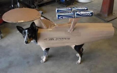 World's Strangest Halloween Costumes for Dogs!