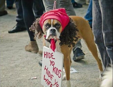 Weirdest Dog Costumes — The World of Kitsch