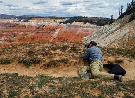 Get low for great photo perspectives