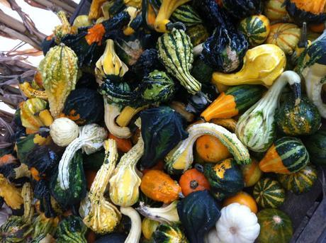 connors farm 001 Going Paleo