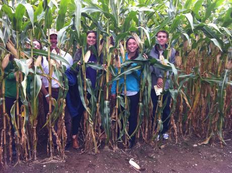 connors farm 009 Going Paleo