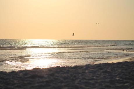 Beach Pics!