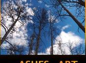 Building From Ashes–Literally. Unique Auction Featuring from Colorado Wildfires