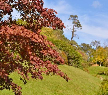 Autumn Tints at High Beeches Garden