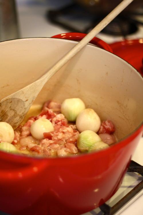 Julia & Julia Inspired. {Beef Bourguignon Recipe}