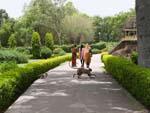 A monkey and baby crossing the path with local women in the background