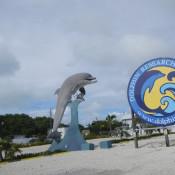 Dolphin Preserve Key West Fl