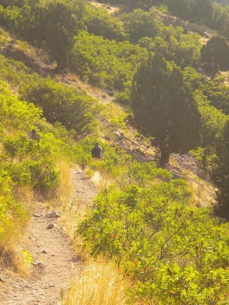 weekend pieces weekend pieces