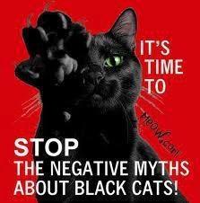 Caring for our Familiars: Help a Black Cat today!