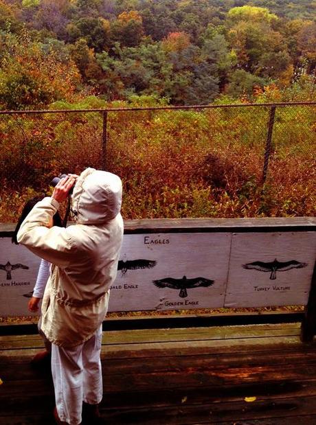 Counting Hawks, Bringing Families Together