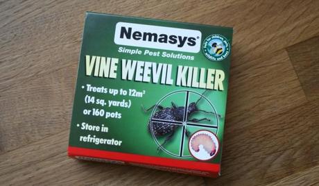 Vine Weevil Biological control Nemasys