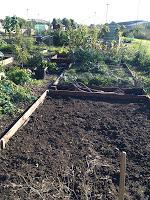 Strawberries, squashes and a good old cup of Rosy Lee