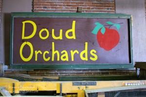 Doud Orchards:  Denver, Indiana