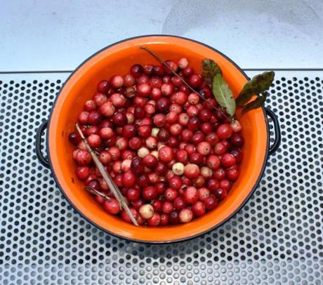 WILD CRANBERRY AND ORANGE SAUCE