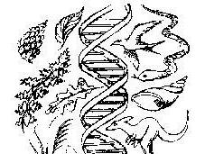 Biodiversity Club