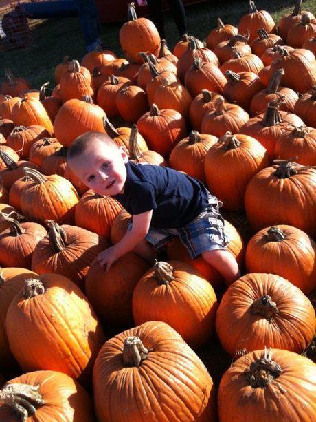 #To-Do #DFW: Enjoy fall with Celebrate #Roanoke, Autumn in the #Arboretum, & Flower Mound #Pumpkin Patch