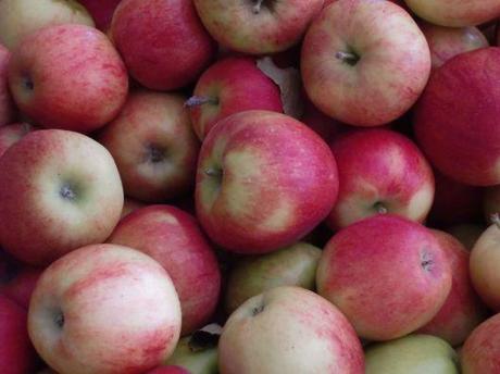 A is for ambrosia; B is braeburn; C is for crimson crisp