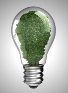 Renewable energy. Lightbulb with green plant