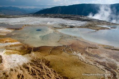 Yellowstone National Park Mammoth Hot Spring Landscape