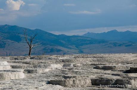Yellowstone National Park Mammoth Hot Springs Landscape
