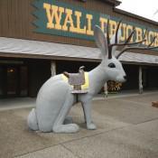 The Infamous Jackelope Statue in Wall Drug | Wall SD