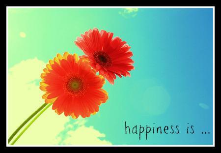 Happiness is …