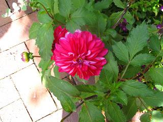 Weekend with my parents