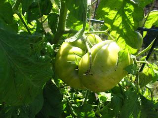 Weekend with my parents