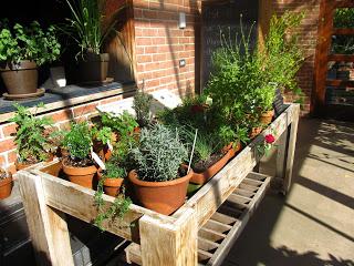 Weekend with my parents