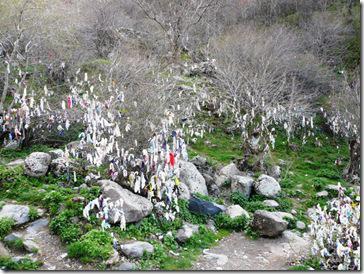 Night Over Erzinga, Silk Road Rising Chicago - trees
