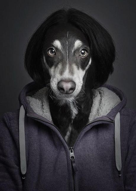 Swiss Artist Creates Stunning “Mad Scientist” Dog Fotos