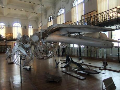 TRAVEL: Oceanographic Museum – Monaco