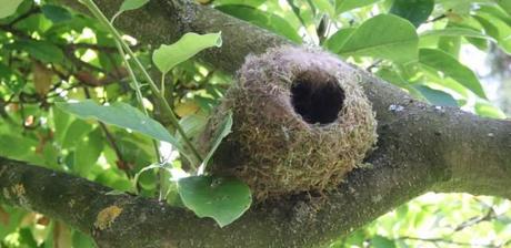 How to make a nesting pocket