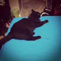 Instagram Recap: Feels Like Fall.