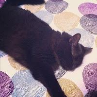 Instagram Recap: Feels Like Fall.