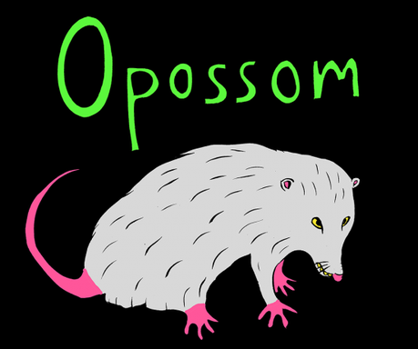 opossom 550x460 CMJ 2012 BANDS TO WATCH