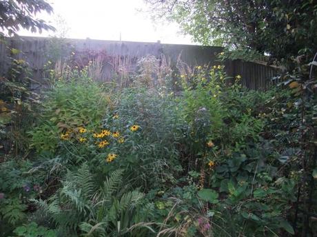 Overview of the Daisy Border