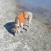 Zoe on the lake