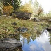 River in Custer Park