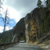A tunnel in the Black Hills