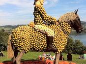 Jucker Farmart Pumpkin Season!