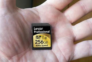 Lexar 256GB SD Cards