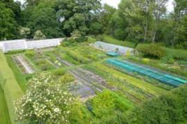 Poyntzfield herbs