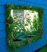 Pondering a pergola - makeover challenge