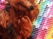 Even Bites, Impossible Love. (Looks Like Teddy...