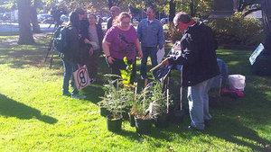 Protesters prepare to present hemlocks to Liberal MLAs.