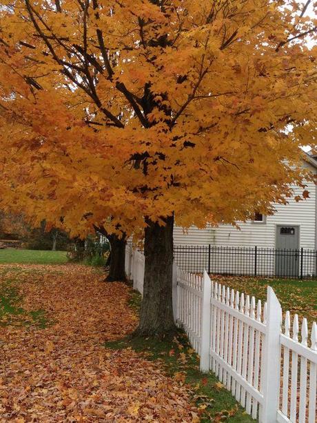 Autumn in Northeast Ohio : Part 1