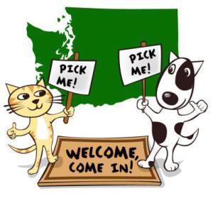 72078_502358976450713_523376338_n Pit Bulls and Addicts