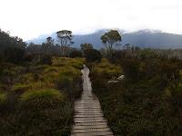 The Overland Track and Walls of Jerusalem