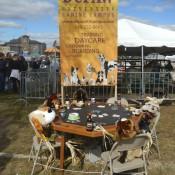 Scarecrow Dogs Playing Poker at Scarecrow Fest St. Charles IL 2012